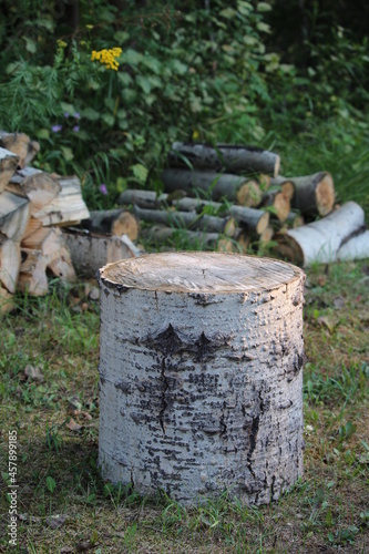 Birch tree stump with stacked, chopped firewood on green grass field in the background