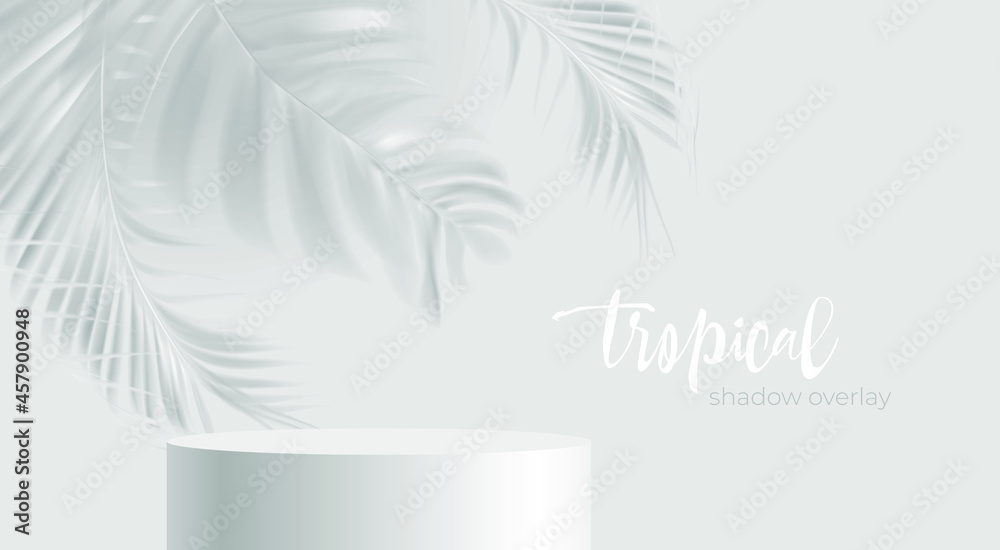 Realistic product podium and transparent shadow from palm leaf on white ...