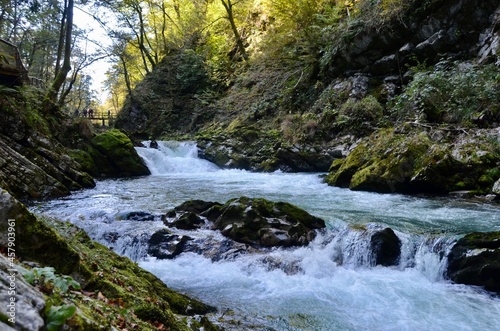 Río fluyendo por una garganta natural