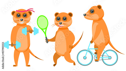 Set Abstract Collection Flat Cartoon  Different Animal Meerkats Riding A Bike  Goes In For Sports With Dumbbells  Plays Dadminton Vector Design Style Elements Fauna Wildlife