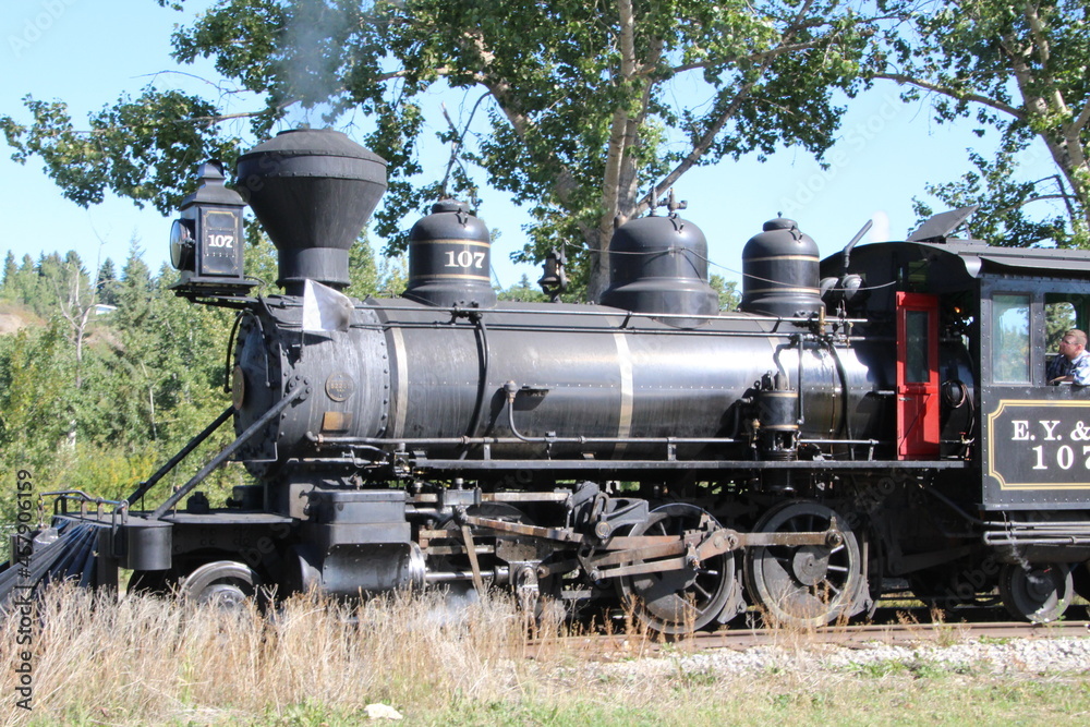Iron Horse, Fort Edmonton Park, Edmonton, Alberta Iron Horse, Fort Edmonton Park, Edmonton, Alberta