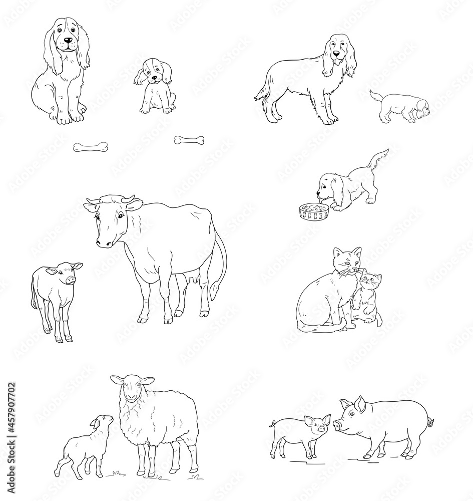 The young animal and adult animal.  Hand drawn sketch style cow , pig , собака, овца и кошка outline set. Isolated icons on a white background. Vector contour illustration.