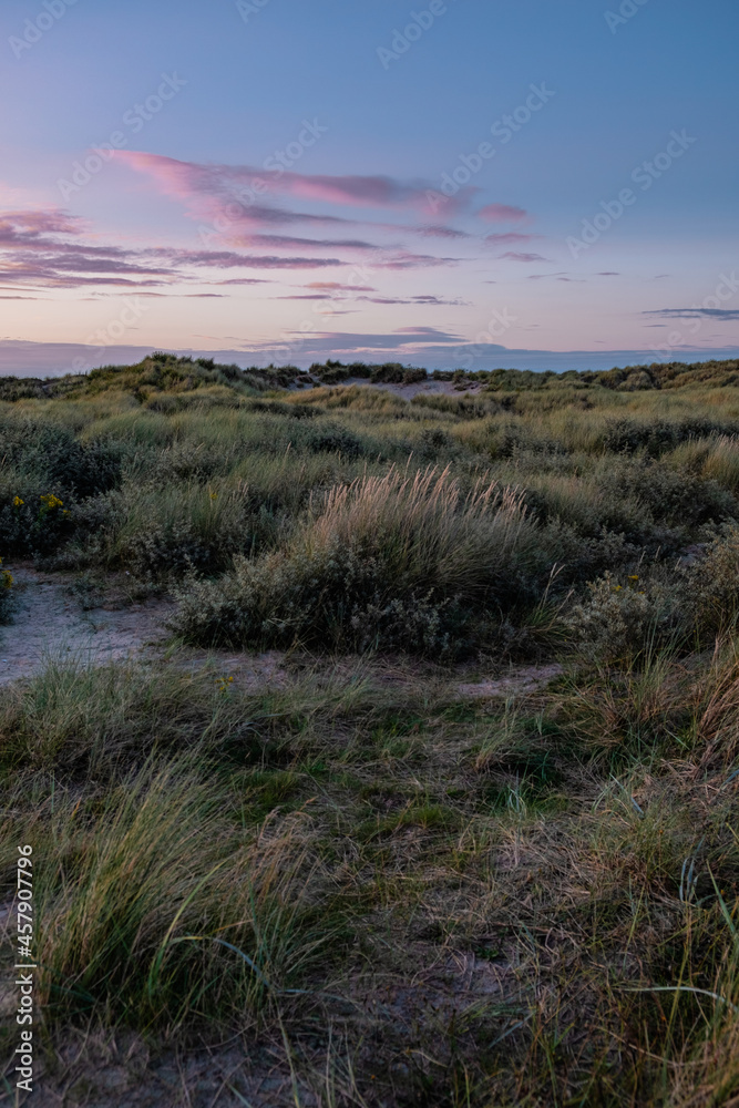 Scenic landscape natural green meadow field upon sunset Scenic landscape natural green meadow field upon sunset