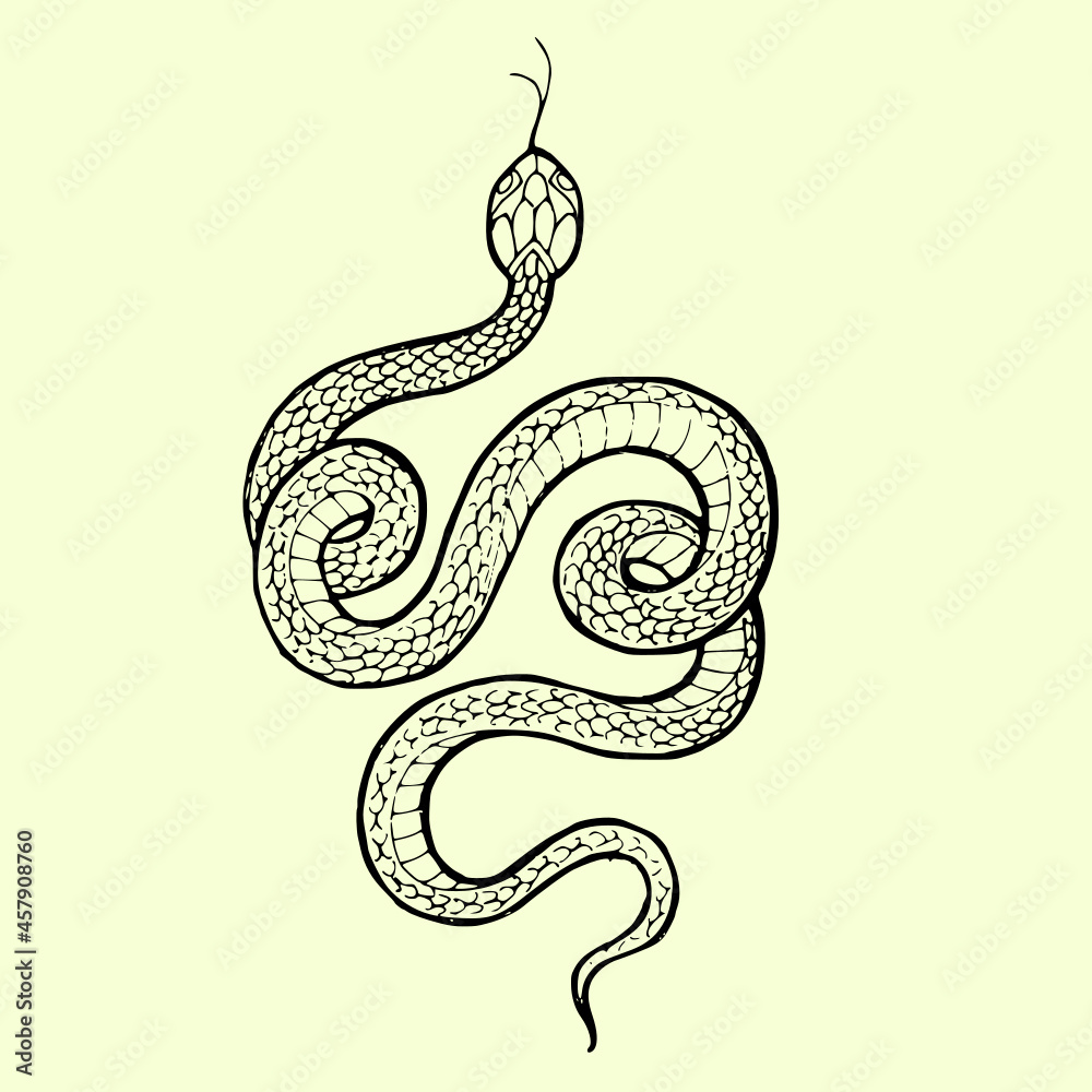 Obraz premium Snake tattoo