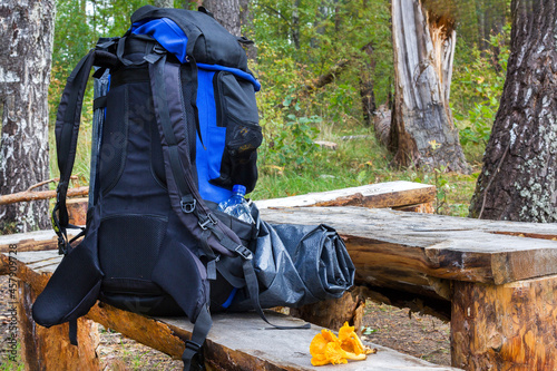 a hiking backpack with a tent attached to the outside stands on a bench in the forest, next to it are chanterelle mushrooms