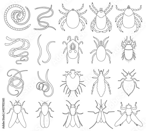 Fototapeta Naklejka Na Ścianę i Meble -  Parasite vector outline set icon. Vector illustration insect on white background. Isolated outline set icon parasite.