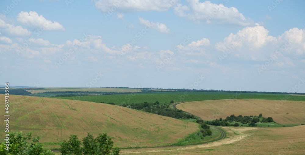 Landscape. Background. Bright green field trees on the horizon and blue sky with clouds. Agricultural land, blue sky with clouds.