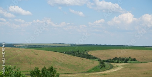 Landscape. Background. Bright green field trees on the horizon and blue sky with clouds. Agricultural land, blue sky with clouds.
