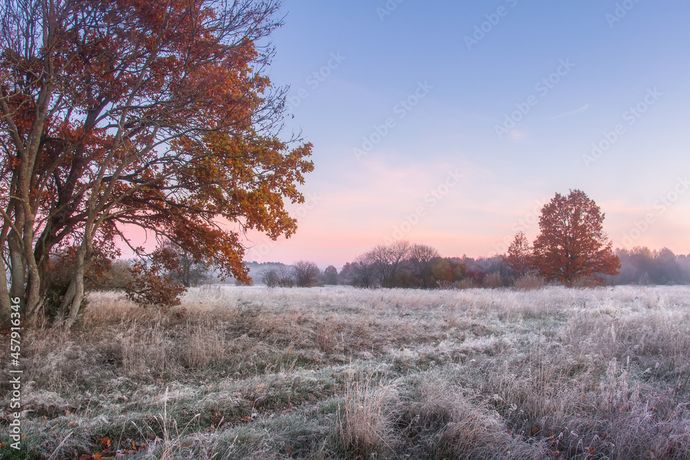Scenery of autumnal sunrise illuminating on meadow with hoarfrost on grass. Clean sky without clouds blue-red color.
