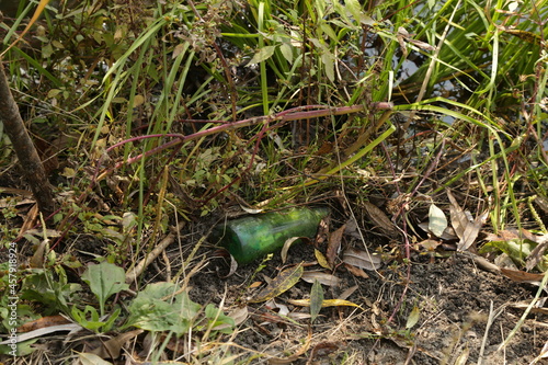 Beer bottle in the grass