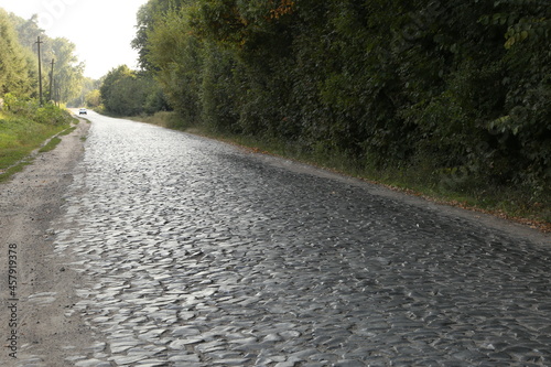 old cobblestone road near the forest