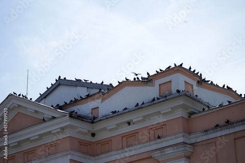 A lot of pigeons on the roof of vintage building © Сергей Луговский