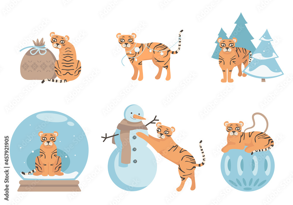 Fototapeta premium Tiger in different poses. Cute animal in winter season