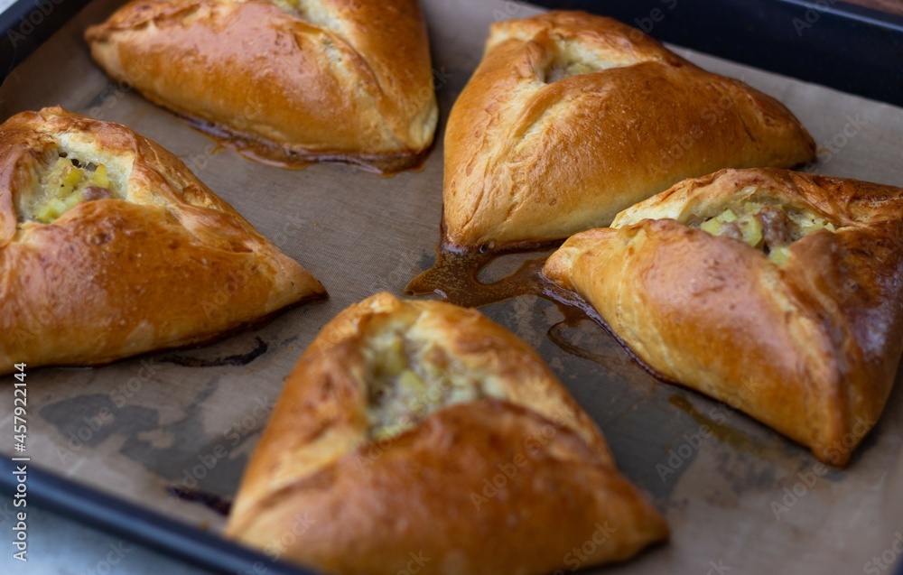 Cool five pies with chicken filling on a baking sheet. Side view