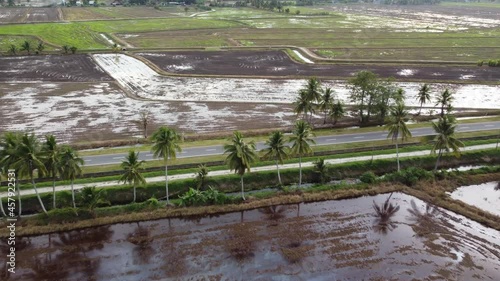 Wallpaper Mural Aerial view paddy field beside the road of planted coconut tree Torontodigital.ca