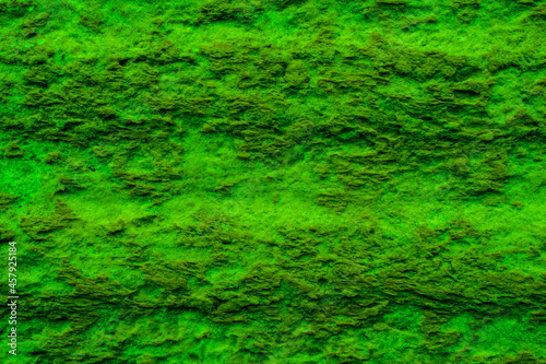 green rough texture for tapete