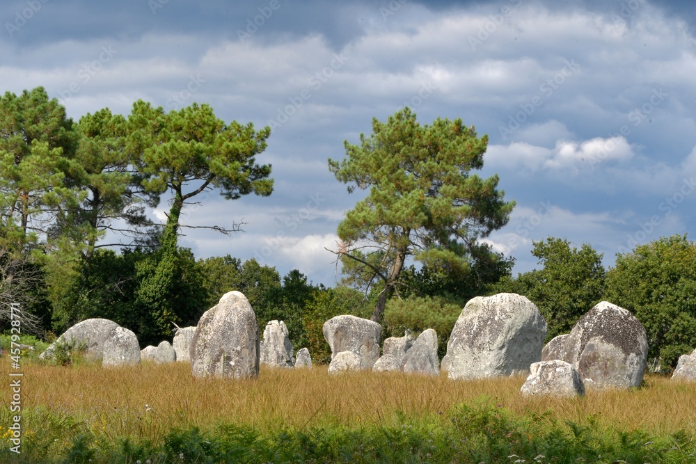 Alignments of menhirs at Carnac in Brittany France Alignments of menhirs at Carnac in Brittany France