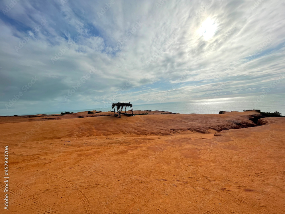 horse on the beach