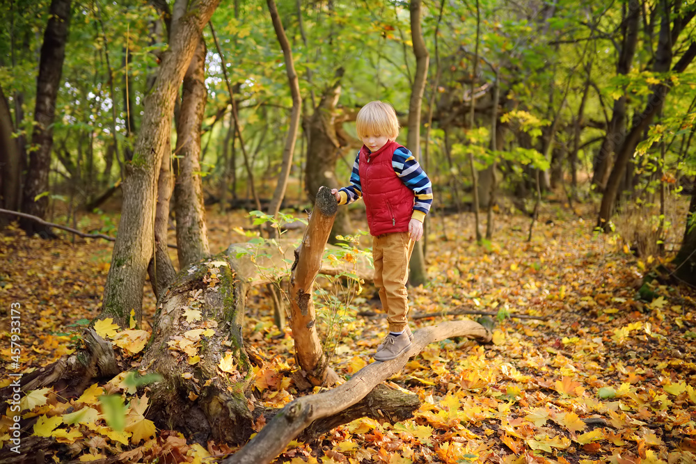 Little boy having fun during stroll in the forest at sunny autumn day. Active family time on nature. Hiking with little kids. Little boy having fun during stroll in the forest at sunny autumn day. Active family time on nature. Hiking with little kids.