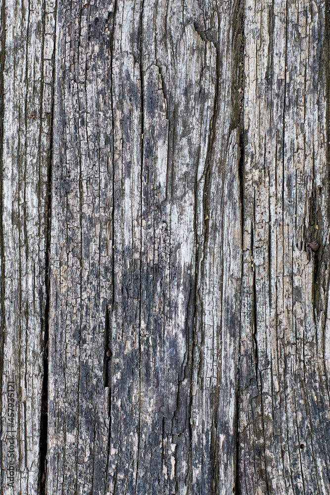 Old cracked wood plank background. Wood texture. Front view with copy space.