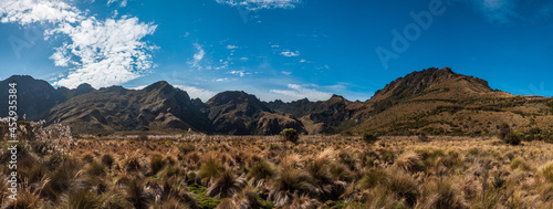 panorama of the mountains andes grassland mountains silhouettes