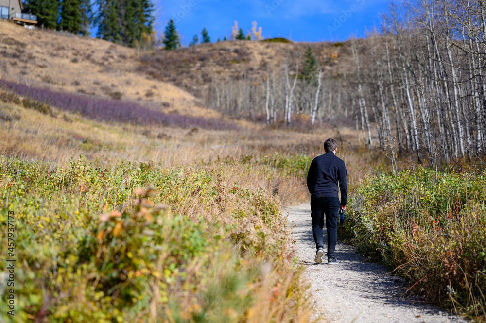 Obraz premium walking in the park