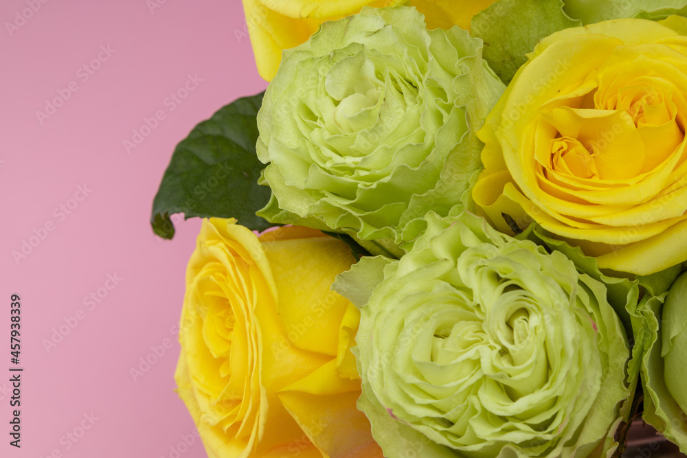 closeup to the head of roses in a bouquet, floral arrangement with detail of the petals and their texture in studio with background of various colors, beauty of nature closeup to the head of roses in a bouquet, floral arrangement with detail of the petals and their texture in studio with background of various colors, beauty of nature
