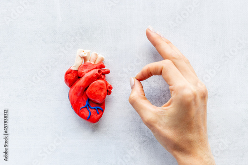 Female hand with anatomical heart model. Health insurance and heart care concept
