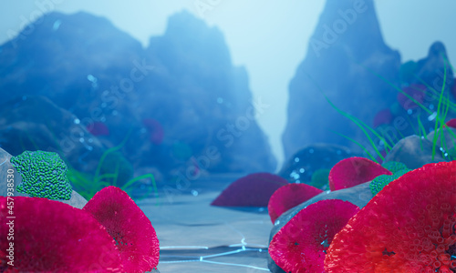 Colorful corals under the s...