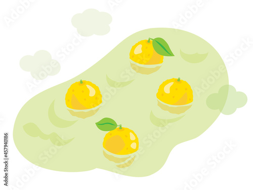 冬至の柚子湯