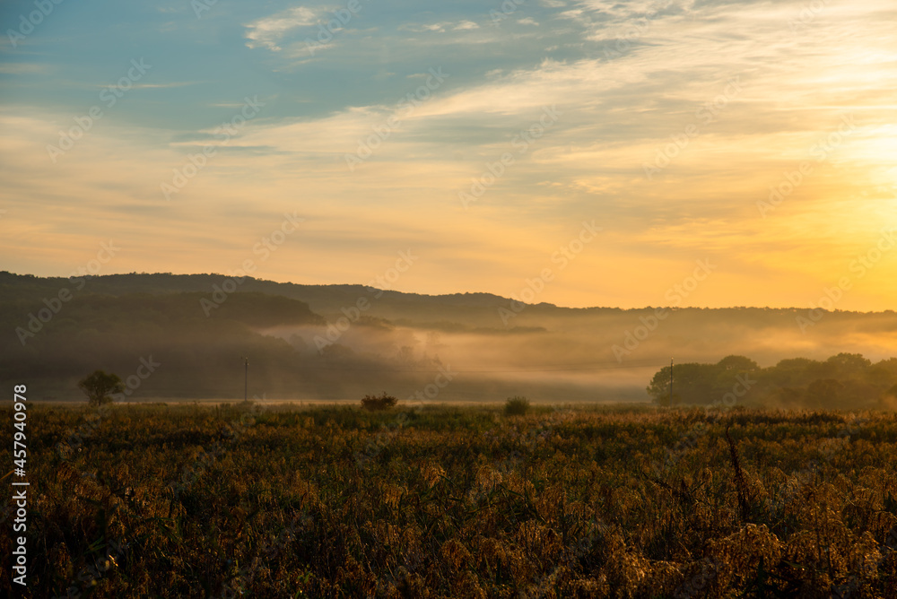 Fototapeta premium Beautiful image of foggy morning at autumn. Space for text. Travel and freedom conceptual photo
