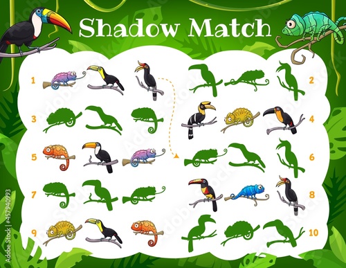 Kids shadow match game toucans and chameleons in jungle. Vector worksheet, children logic task find correct bird and lizard silhouettes. Cartoon riddle for baby education, logical mind development