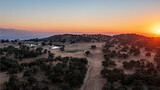 Aerial View of Rolling Hills Covered in Oak Trees and Blanketed in a California Sunset