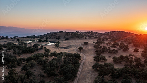 Aerial View of Rolling Hills Covered in Oak Trees and Blanketed in a California Sunset photo