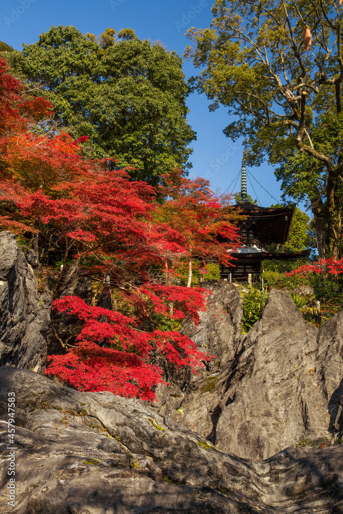 石山寺の紅葉　硅灰石　縦位置