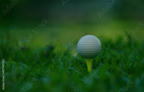 Golf ball on a yellow tee in a beautiful golf course with morning sun. Ready to play golf in the short term, a sport that people around the world play during their holidays for health.