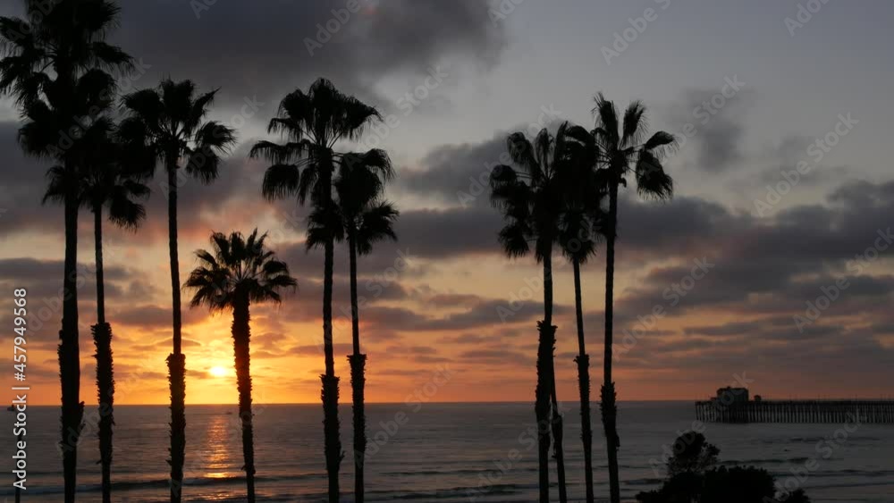 Palms silhouette on twilight sky, California USA, Oceanside pier. Dusk gloaming nightfall atmosphere. Tropical pacific ocean beach, sunset afterglow aesthetic. Dark black palm tree, Los Angeles vibes.