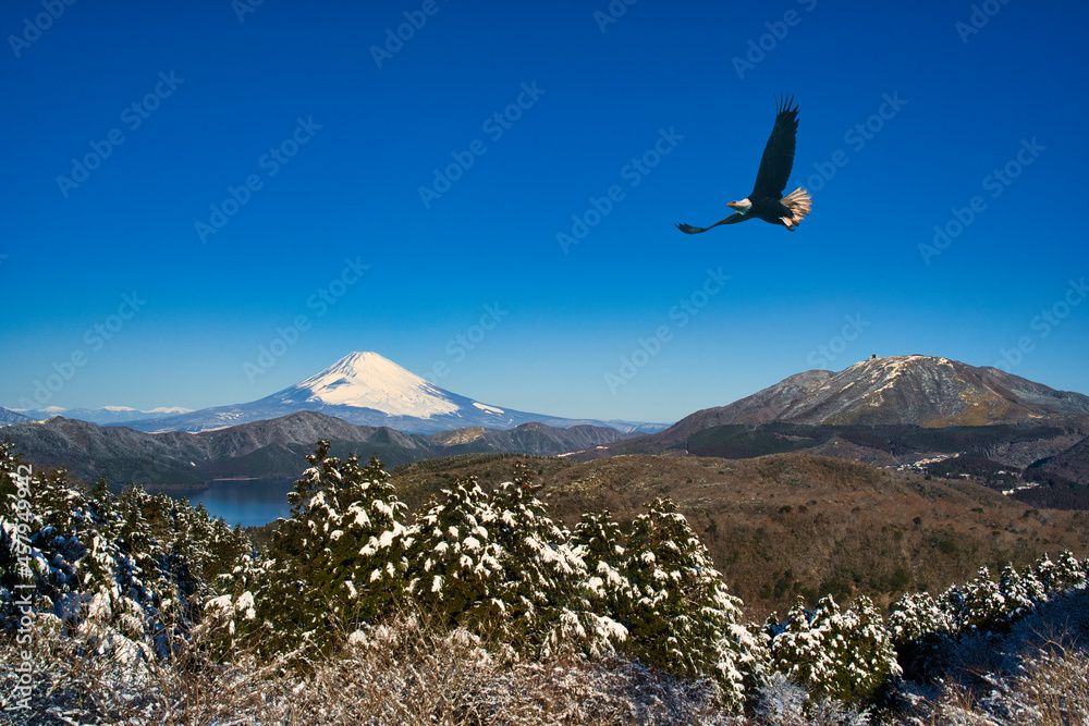 Obraz premium 箱根・大観山より厳冬期の富士山