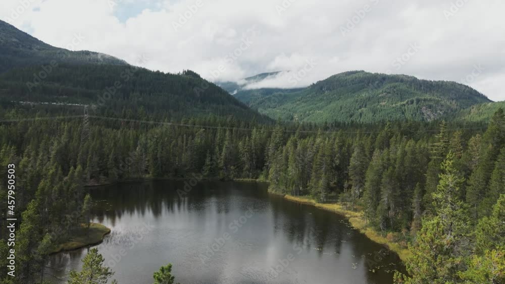 Drone shot over a lake in the middle of a pine tree forest. Nature background Drone shot over a lake in the middle of a pine tree forest. Nature background
