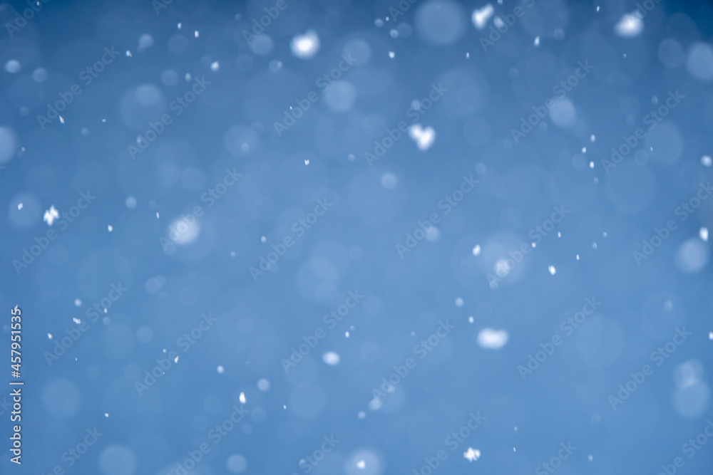 Obraz premium 降雪 雪のイメージ