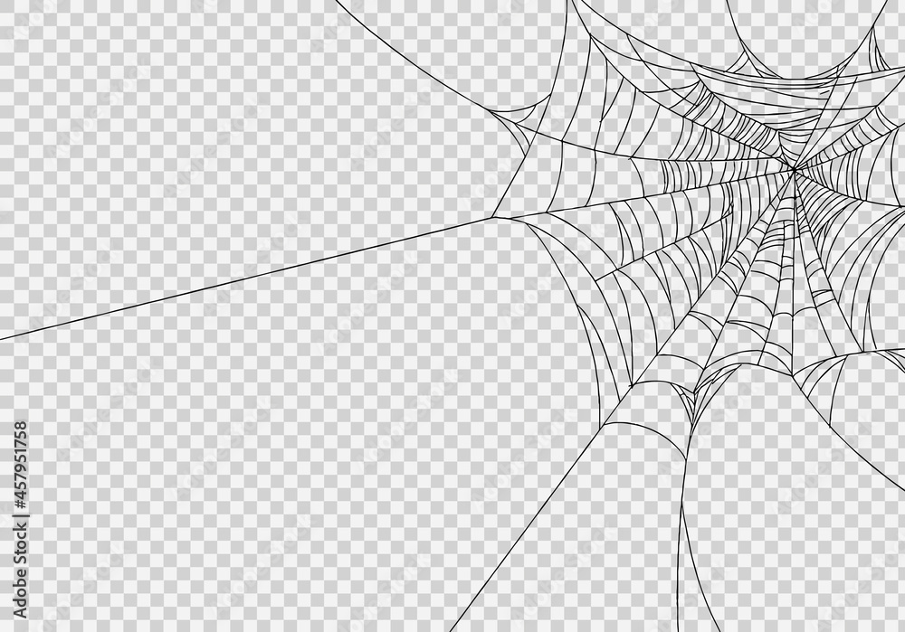 Spiderwebs isolate on png or transparent background, happy halloween  banner, template for poster, brochure, advertising, promotion,sale  marketing vector illustration Stock Vector | Adobe Stock