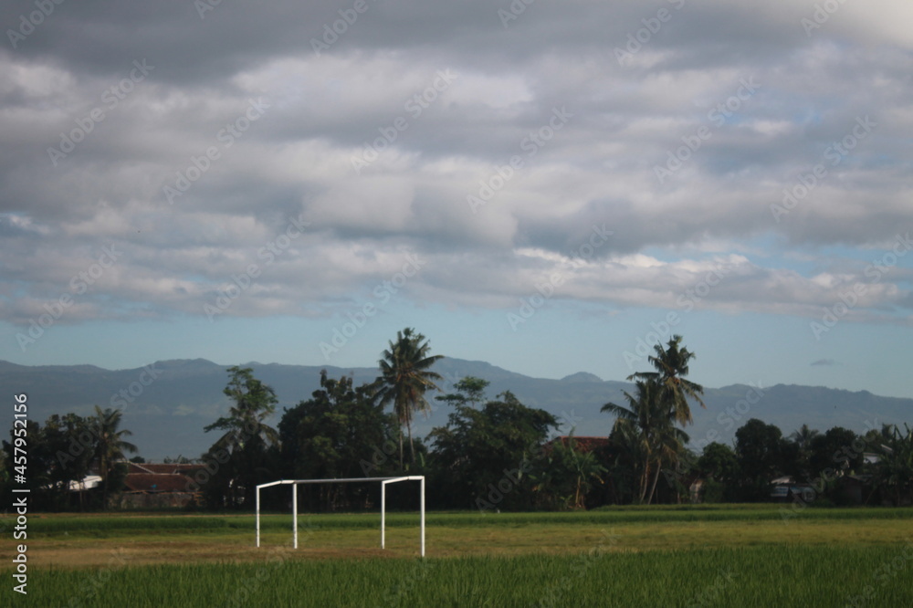 Obraz premium clouds on the field