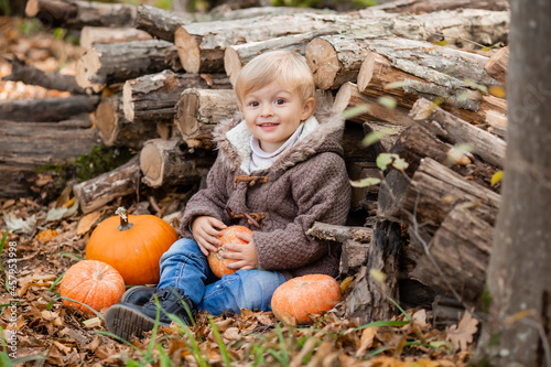 a little blond boy in autumn clothes is smiling sitting in the forest on logs with pumpkins. High quality photo