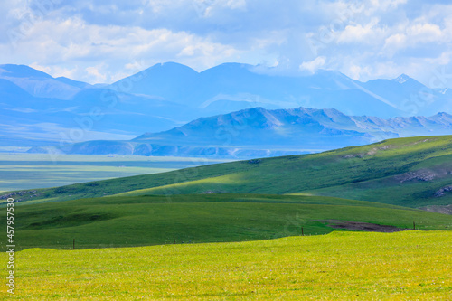 Green grassland natural scenery in Xinjiang,China.Wide grassland and blue sky with white clouds landscape. © ABCDstock