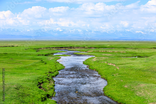 Green grassland and flowing river scenery in Xinjiang,China.