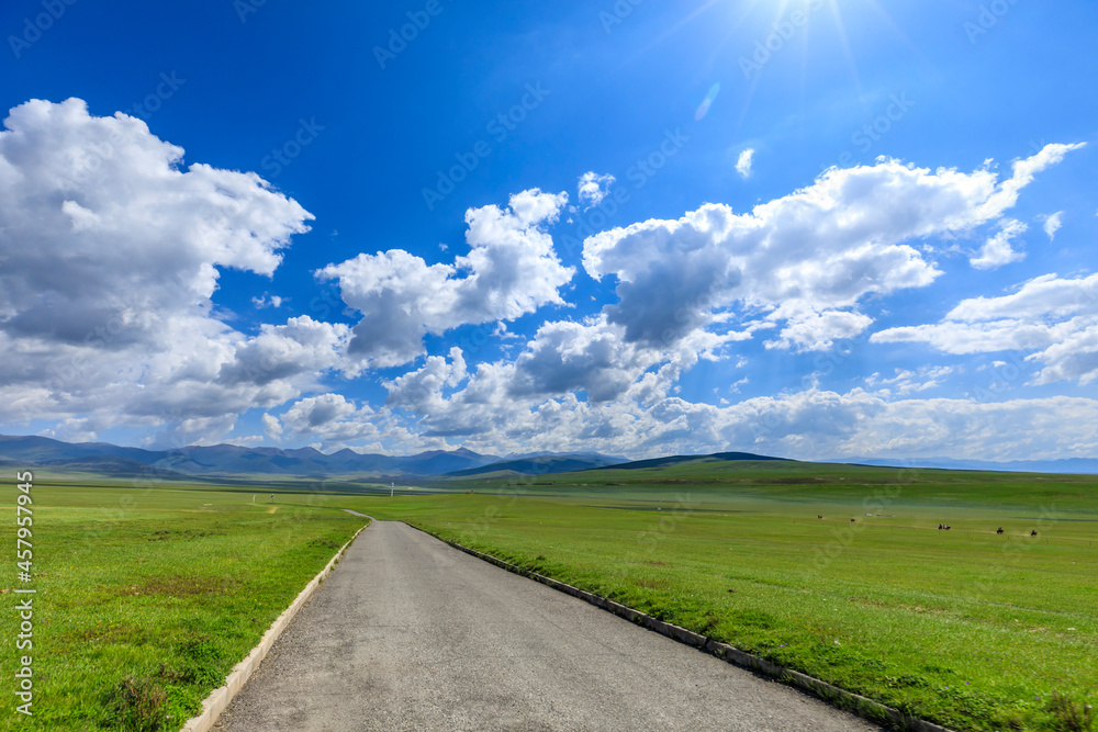 Empty asphalt road on the green grassland in Xinjiang,China.