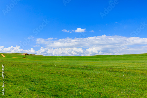 Green grassland natural scenery in Xinjiang,China.Wide grassland and blue sky with white clouds landscape.