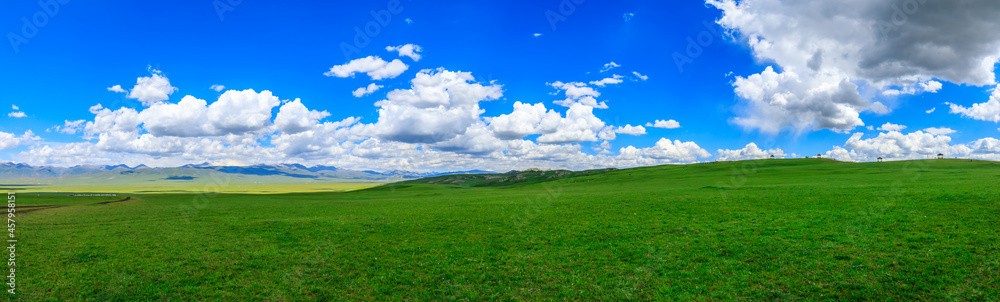 Green grassland natural scenery in Xinjiang,China.Wide grassland and blue sky with white clouds landscape.panoramic view. Green grassland natural scenery in Xinjiang,China.Wide grassland and blue sky with white clouds landscape.panoramic view.