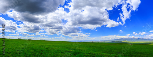 Green grassland natural scenery in Xinjiang,China.Wide grassland and blue sky with white clouds landscape.panoramic view.