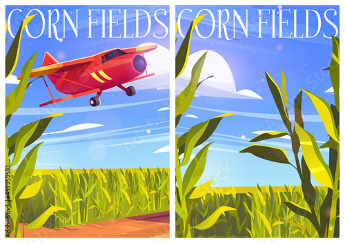 Corn fields posters with red airplane and green cereal plants. Vector cartoon banners with agriculture cornfield and biplane in sky. Farmland with plantation of maize and flying aircraft